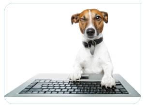 Dog-Typing